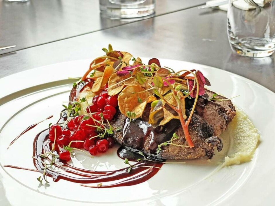 Hjortfilé med potatis- och västerbottensostpuré, lingon, jordärtskockschips och portersky. Foto: Fredrik Klevenhaus Hjortfilé med potatis- och västerbottensostpuré, lingon, jordärtskockschips och portersky. Foto: Fredrik Klevenhaus