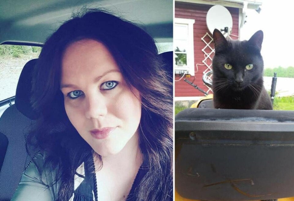 Den äventyrlige katten Bambam är nu tillbaka hos Lisa Linders föräldrar. Foto: Privat