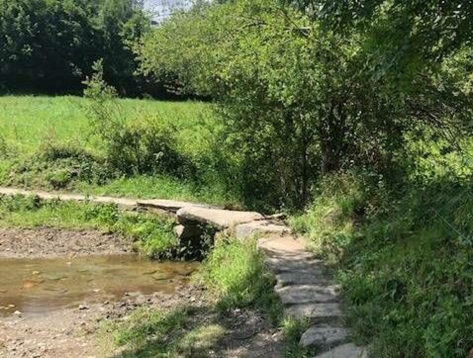 En av de vackra sträckorna på Camino de Santiagos pilgrimsvandring. Foto: Privat