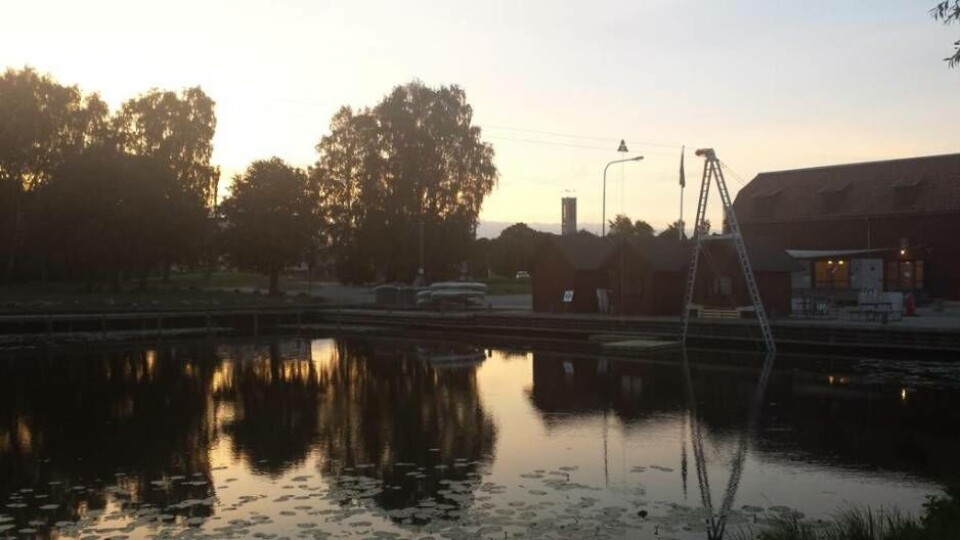 Foto: Mostphotos