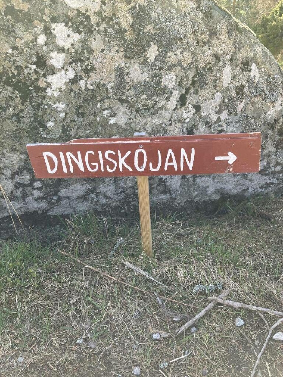 Ta en paus i letandet och lek en stund i Dingiskojan. Foto: Helena Andersson
