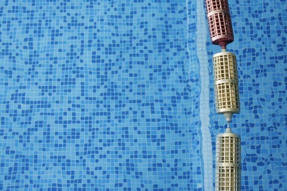 Swimming pool and swimming hall. Blue color swimming pool Foto: Deyan Georgiev