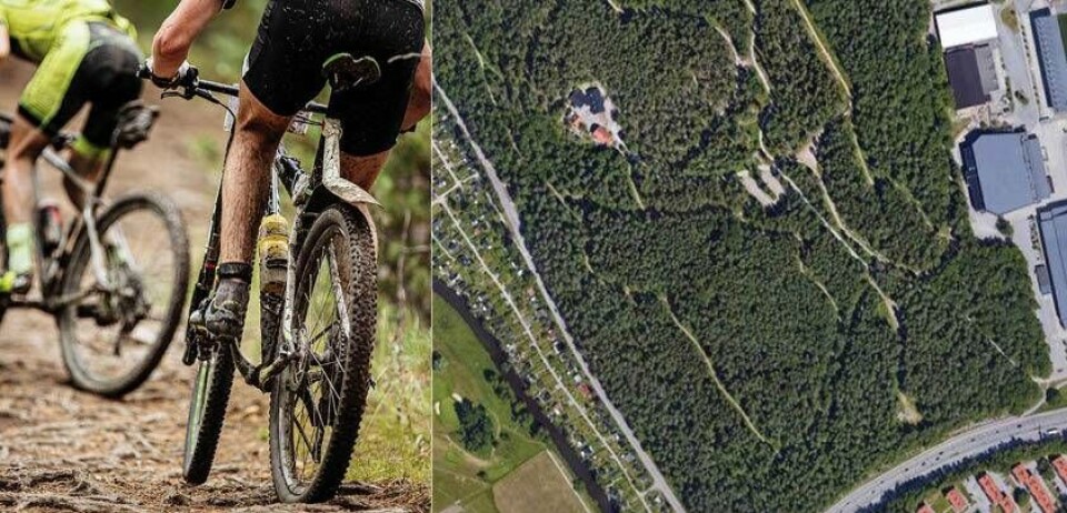 En anmälare har fiskelinor med rakblad i Rocklundaskogens mountainbikespår. Foto: Mostphotos / Google