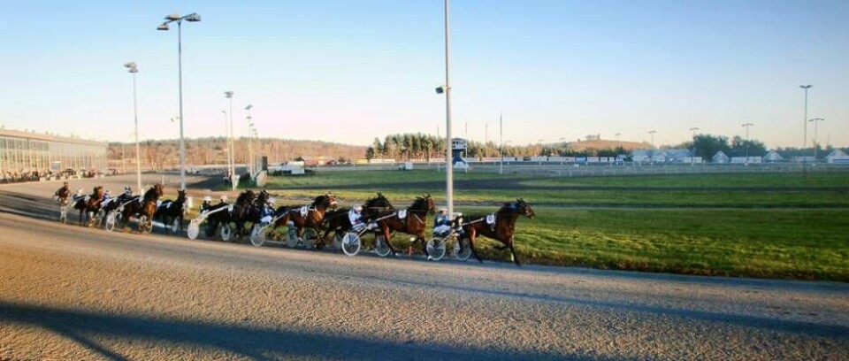 Storvinst på trav. Foto: Arkivbild