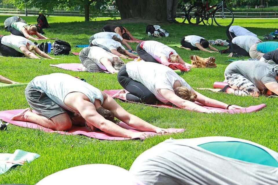 Förra årets Internationella yogadag i Stadsparken. Foto: Sandra Fonnisson