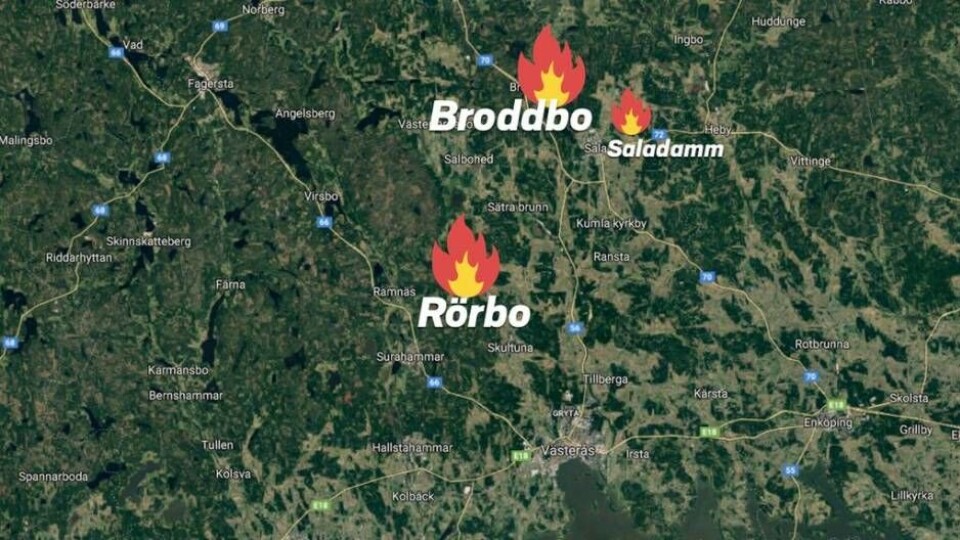 JUST NU: Misstänkta kvinnan häktad