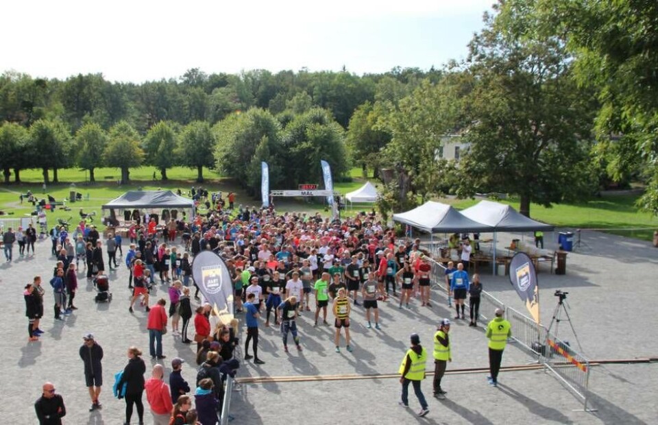 Starten ska strax gå för 12-kilometersloppet i slottsparken. Foto: Jonas Bergkvist