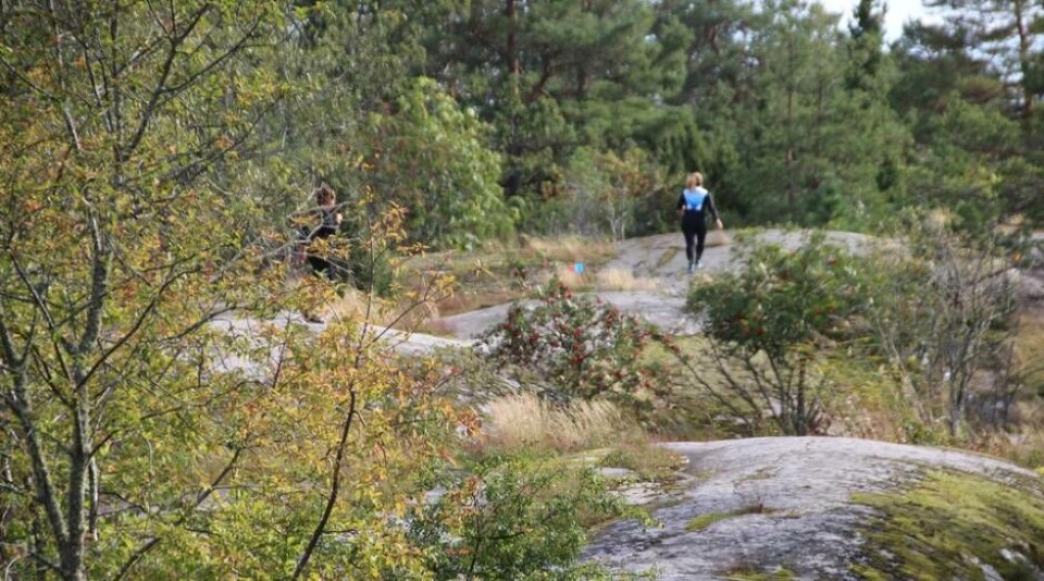 … och klipphällar vid Mälarens strand. Foto: Jonas Bergkvist