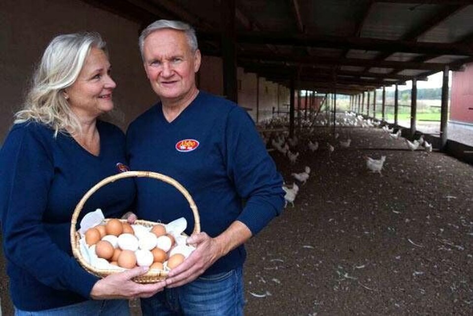 Albo ägg är ev aktörerna som kommer att medverka vid Smaka på Västmanlands del av mässan. Foto: Alsbo ägg Albo ägg är ev aktörerna som kommer att medverka vid Smaka på Västmanlands del av mässan. Foto: Alsbo ägg