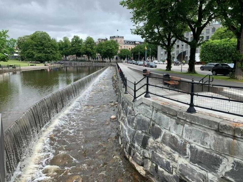 Faunapassagen i Västerås har tilldelats 2020 års Arkitekturpris. Foto: Jonas Edberg