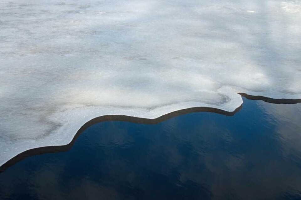 Foto: MOSTPHOTOS