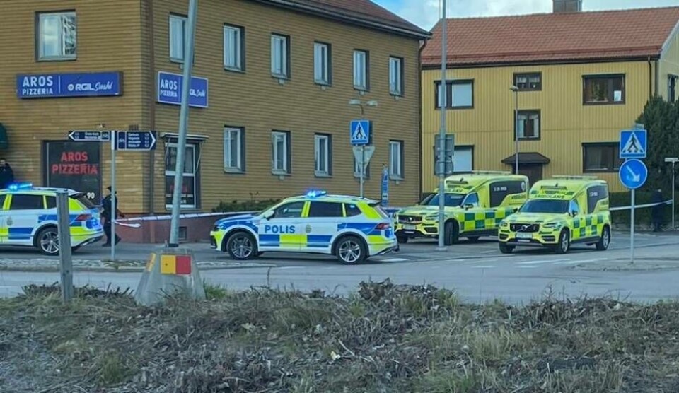 Foto: Sara Dahlström (LÄSARBILD)