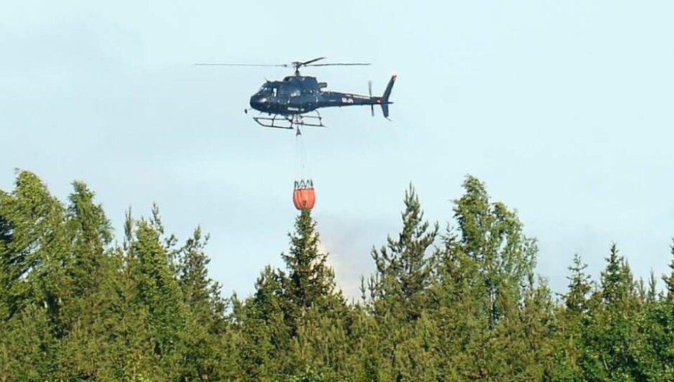 Foto: STEFAN LINDGREN