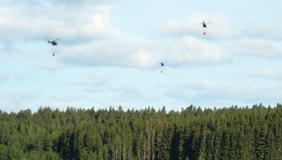 Foto: STEFAN LINDGREN