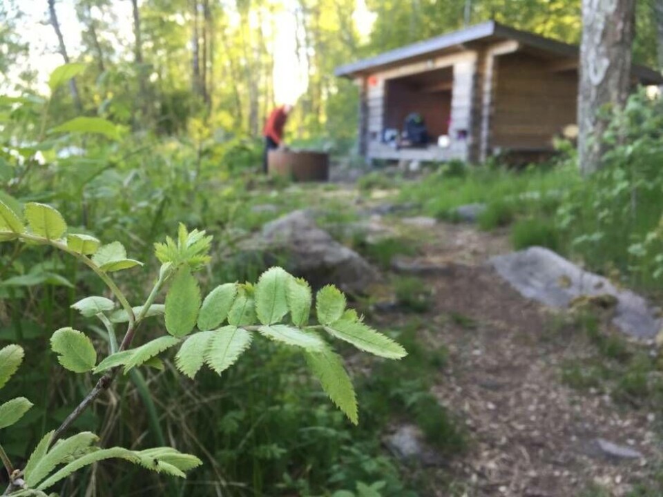 2021 är det friluftslivets år och Länsstyrelsen vill få människor att aktivera sig utomhus än mer än vanligt. Foto: Länsstyrelsen×1 / 3Visa bildtextBild 1 av 3