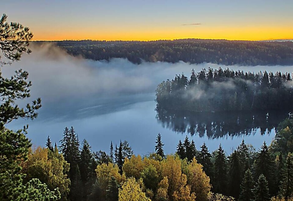 Grannland. Finland kallas även 'tusen sjöarnas land'. Nu firas landets 100-åriga självständighet med en stor fest i Surahammar.