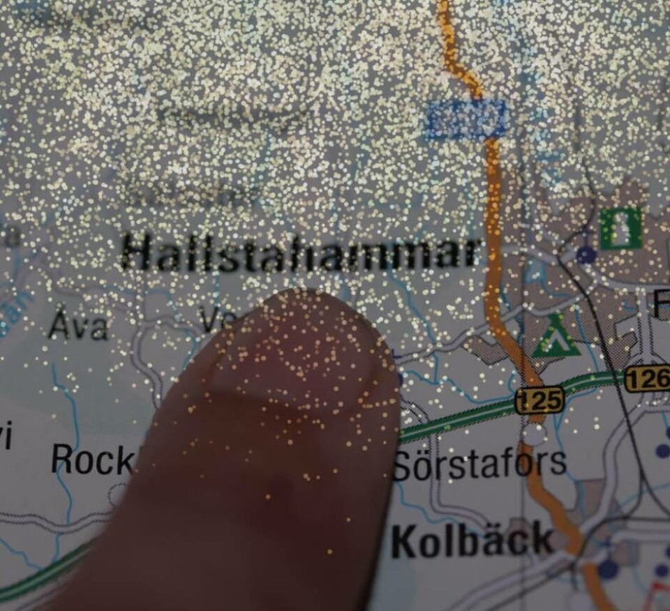 Guldyra. Företagarna i Hallstahammar kommer att uppmärksammas i en tv-sänd gala.