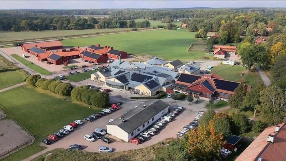 Foto: Evidensia Strömsholm