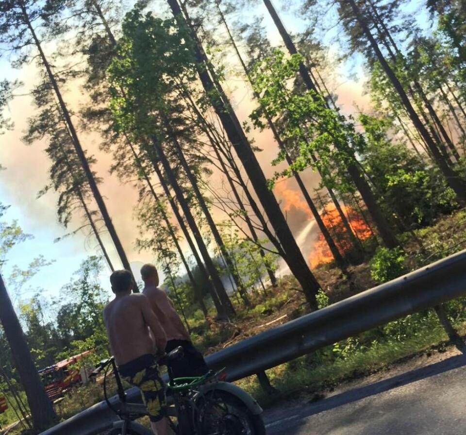 Foto: Elise Heldemar