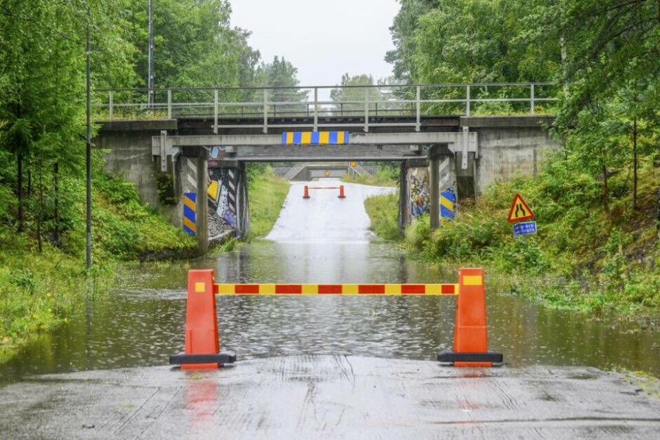 Foto: Gun Persson Ljusne/Mostphotos
