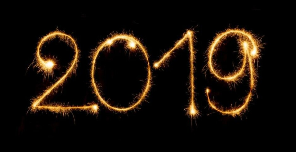Krönika: '2019 – ett ödesår '