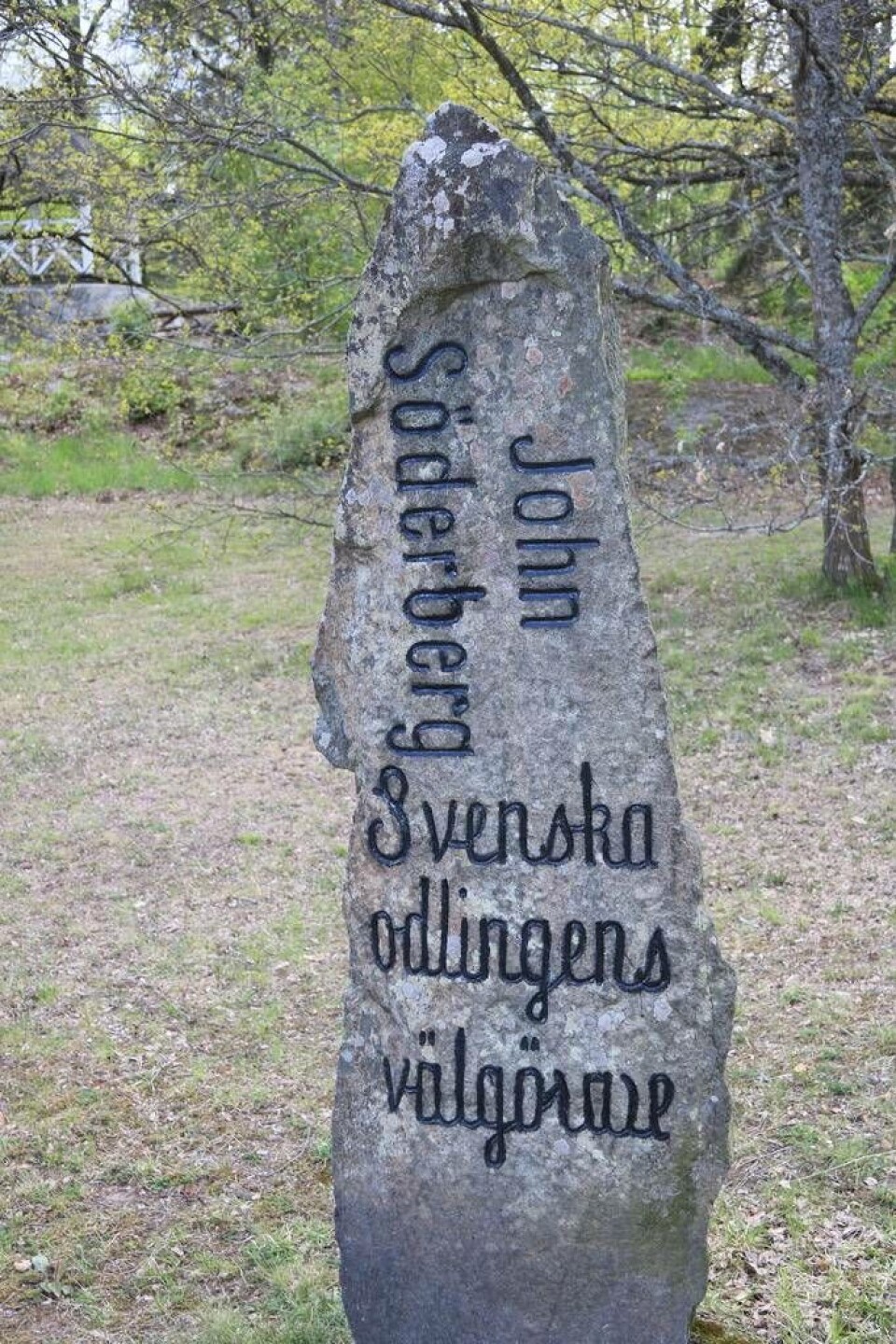 Nu renoveras stenarna på Djäkneberget: 'Det tar tid'