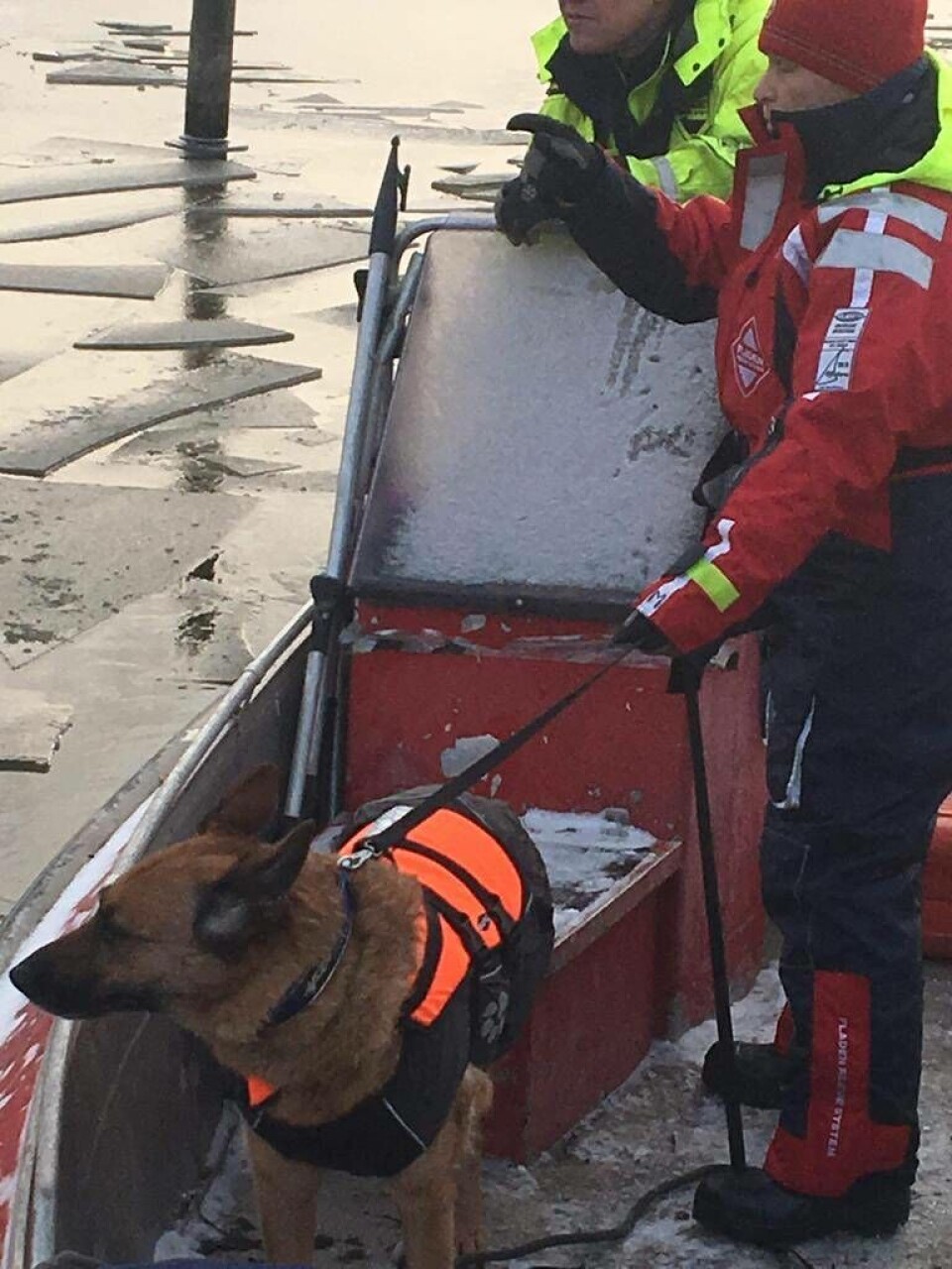 Missing People tog hjälp av båt och hund i sökandet efter den försvunne Robin. Foto: Missing People×1 / 2Visa bildtextBild 1 av 2
