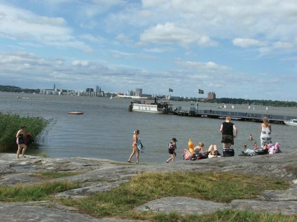 Det populära bad- och utflyktsmålet Östra holmen är drabbat av skadedjuret granbarkborre. Foto: foto: Helena Andersson