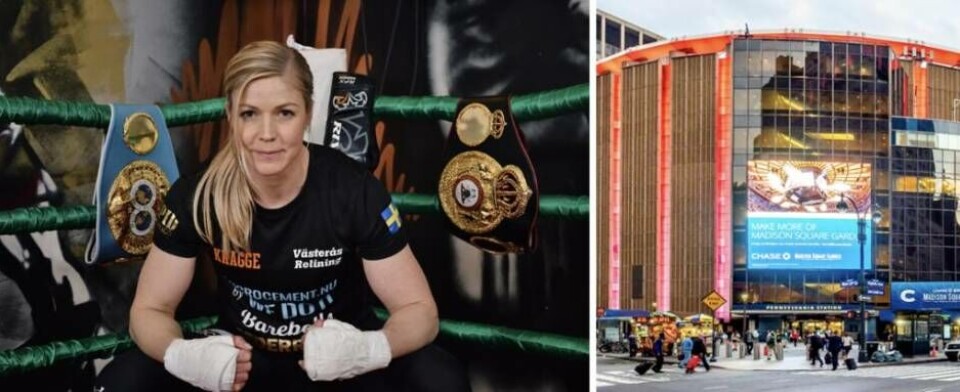 Här, i anrika Madison Square Garden på Manhattan, kommer Västeråsboxaren Elin Cederoos gå sin historiska match med fyra världsmästarbälten samt The Ring Magazine Belt i potten. Foto: Karl-Henrik Grön och Ajay Suresh, NY