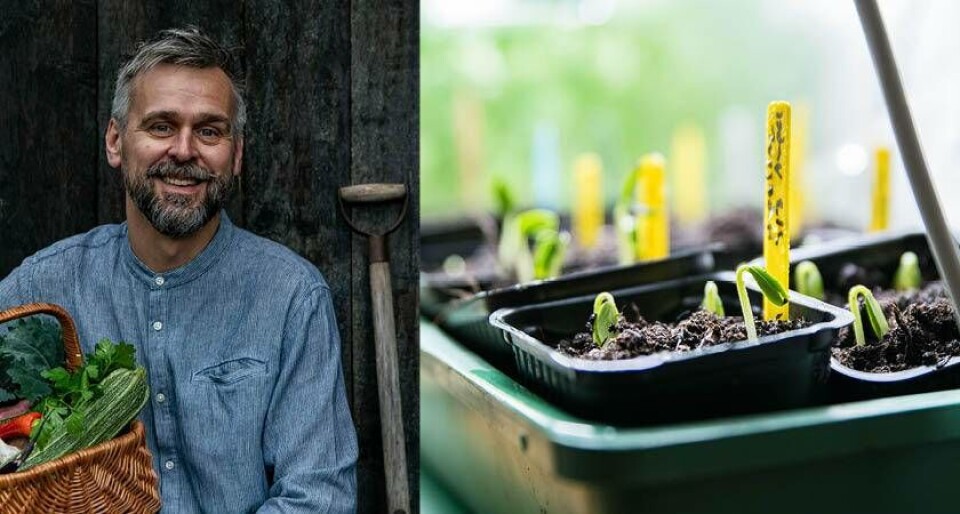 Johannes Wätterbäck driver bloggen Farbror Grön och har ett stort odlings- och kretsloppstänkande. Foto: Farbror Grön