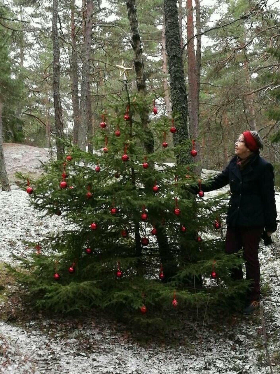 Else-Maj vid den klädda granen i Råbyskogen. Foto: Privat