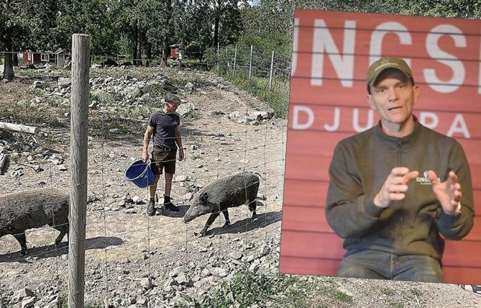 Kungsbyns ägare Henrik Ludvigsson berättar om hur coronakrisen kan tvinga honom att lägga ner djurparken. Foto: Jonas Edberg / Facebook