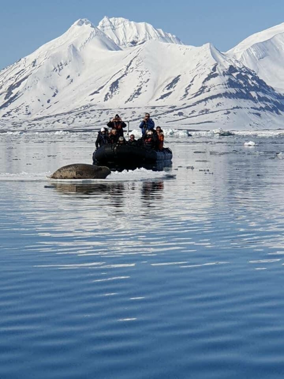 Islandskap. Resesällskapet lämnade den stora båten och åkte in till land med en mindre båt.