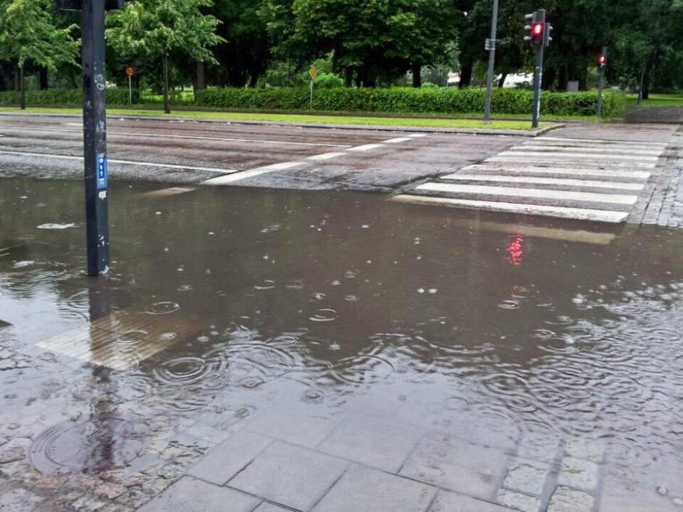 Regnig start på veckan – men sen kommer solen tillbaka
