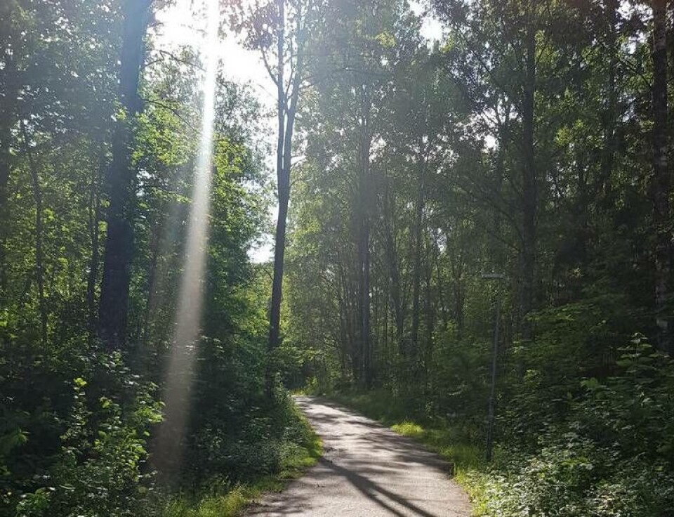 Spring med kärlek hålls för femte året på måndag 5 augusti, bland många andra orter, i Västerås. Start vid utegymmet på Rocklunda klockan 18.00 för den som vill springa tillsammans med någon. Foto: Privat