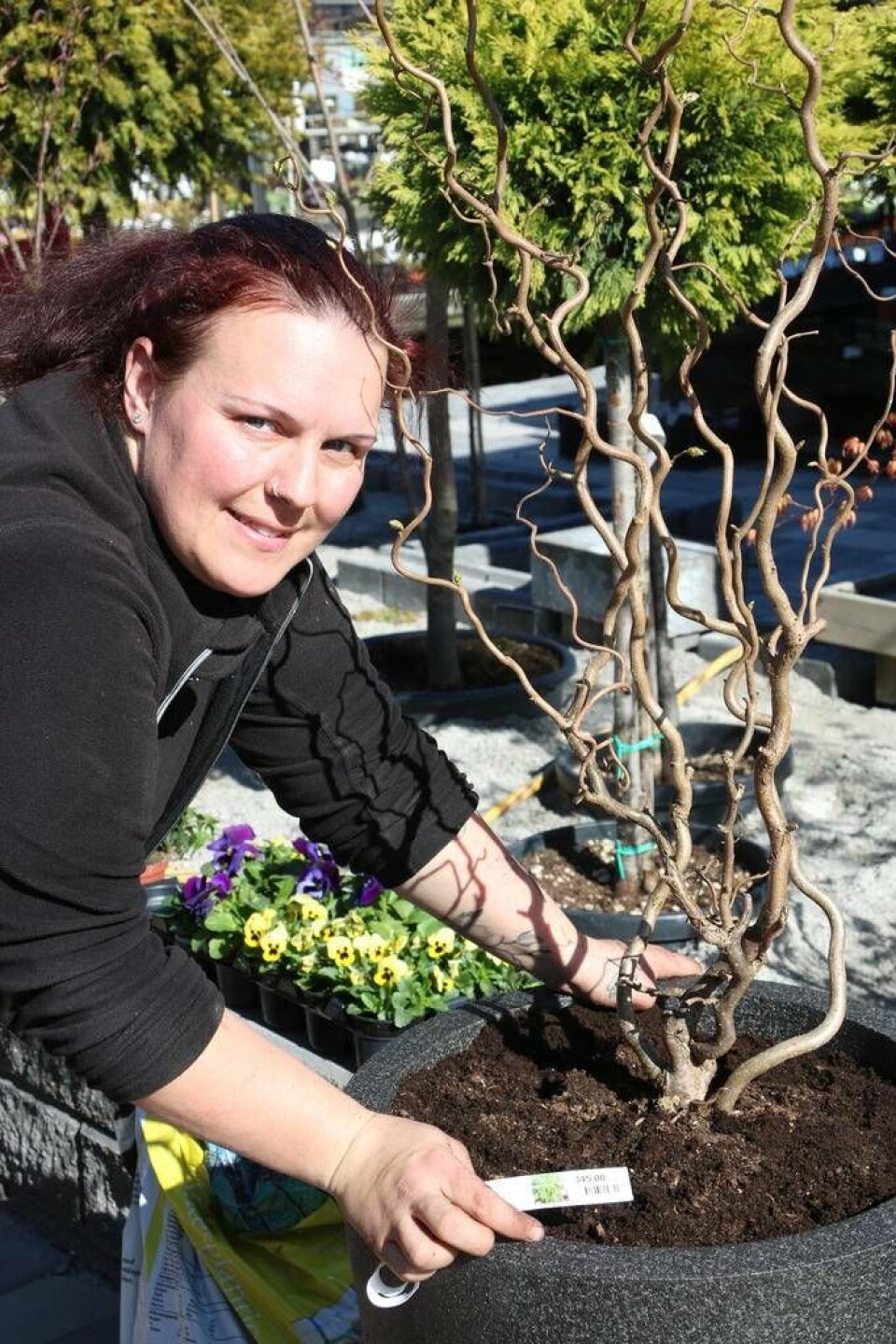 Plantera med ordning och reda – använd krukor