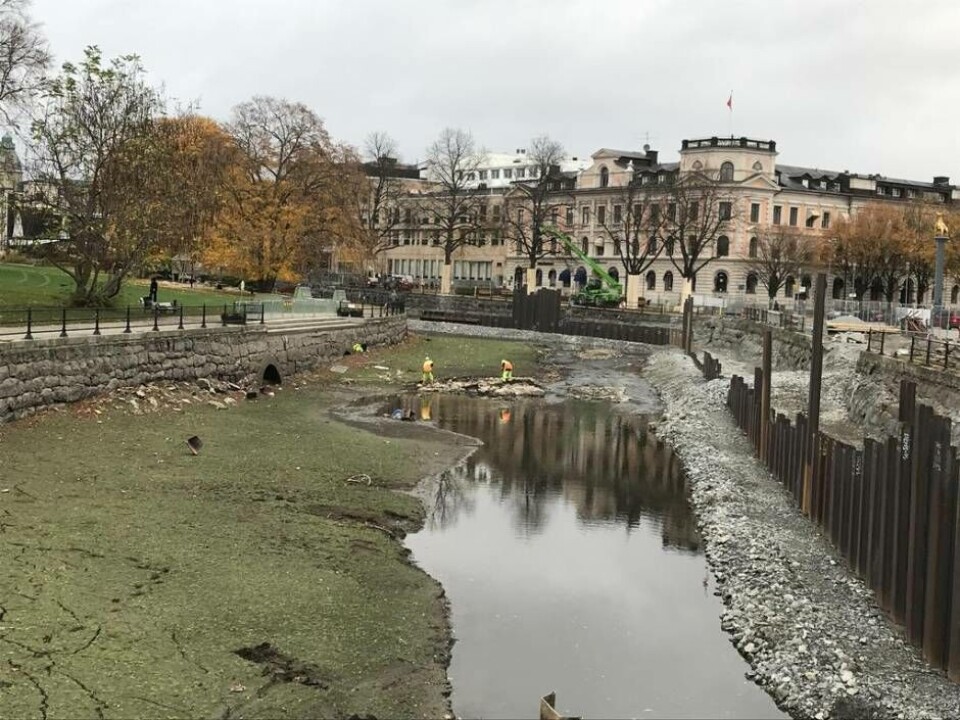 Arkeologer på dammvallen till Wickholms kvarn. Foto: Ulla Bergquist, Länsstyrelsen