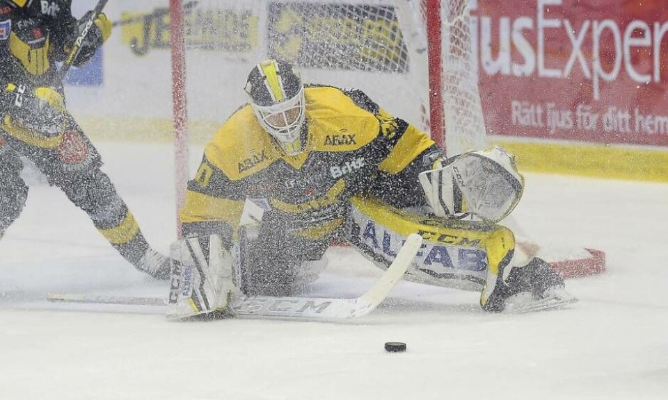 Samuel Ersson har hållit nollan vid flera tillfällen under hösten i Hockeyallsvenskan. Foto: Stefan Lindgren