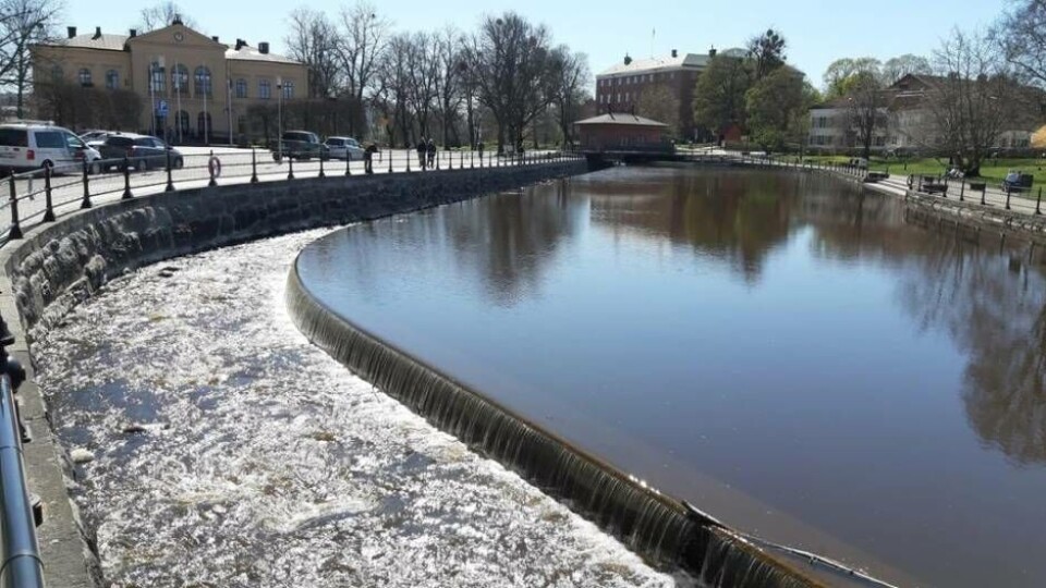Faunapassagen vid Fiskartorget. Foto: Västerås stad