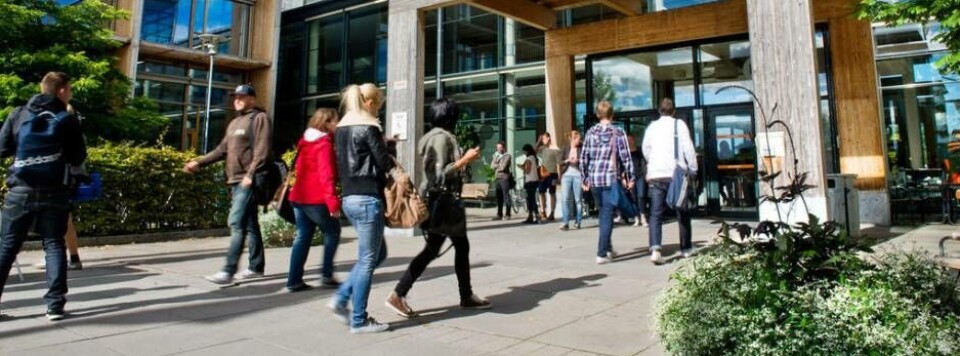 MDU-forskare vinner pris för forskning om solceller. Foto: Mdu