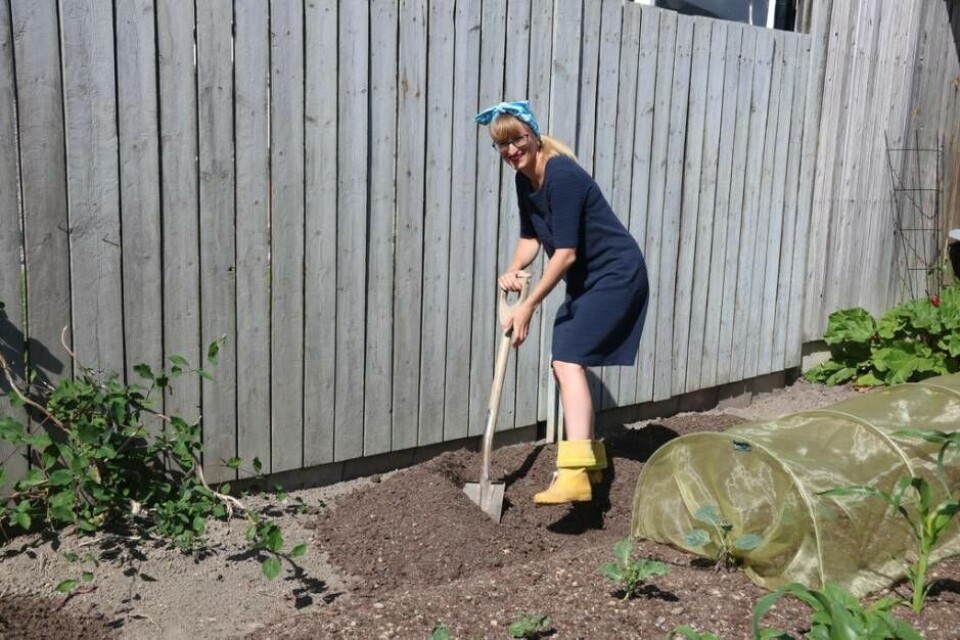 Det ligger mycket jobb bakom Linda Holtbys odlingar, något hon bara tycker är roligt. Foto: Helena Andersson