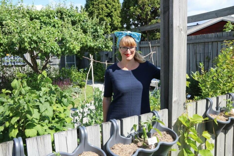 Linda Holtby tycker inte att man ska vara rädd för att prova att odla. Foto: Helena Andersson