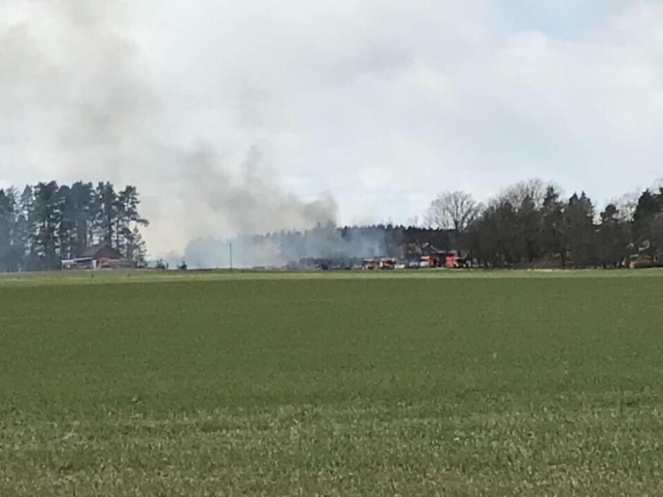 Räddningstjänsten jobbar för att branden inte ska sprida sig i den hårda blåsten. Foto: Magnus Eriksson