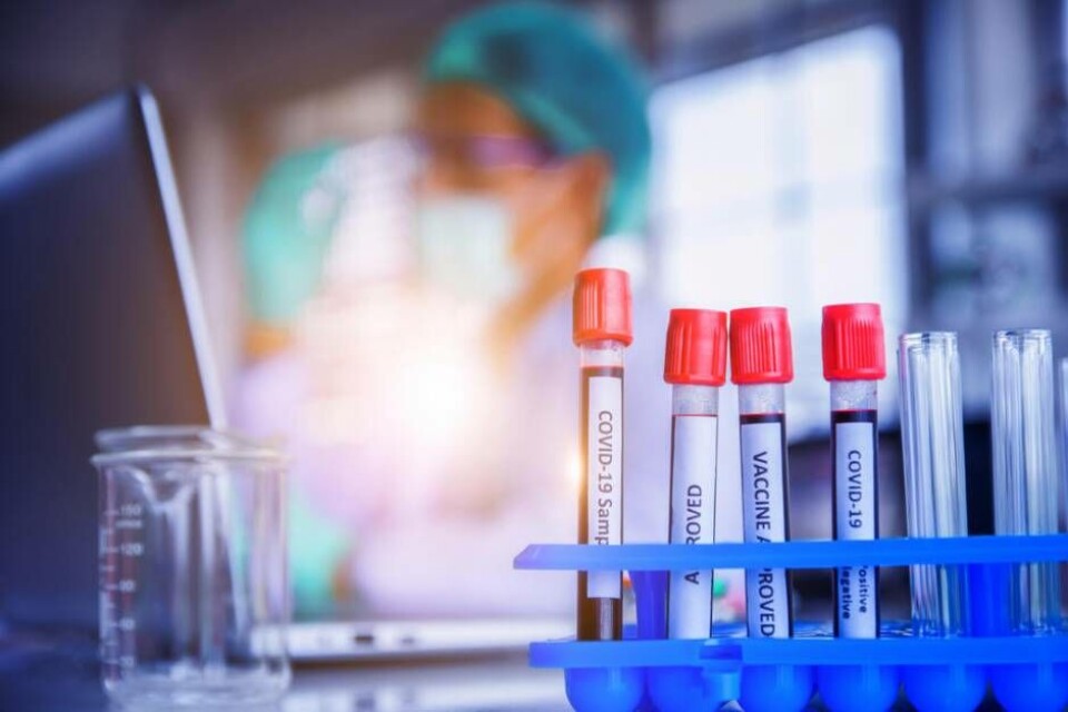 Ökad smittspridning oroar – brasiliansk mutation upptäckt