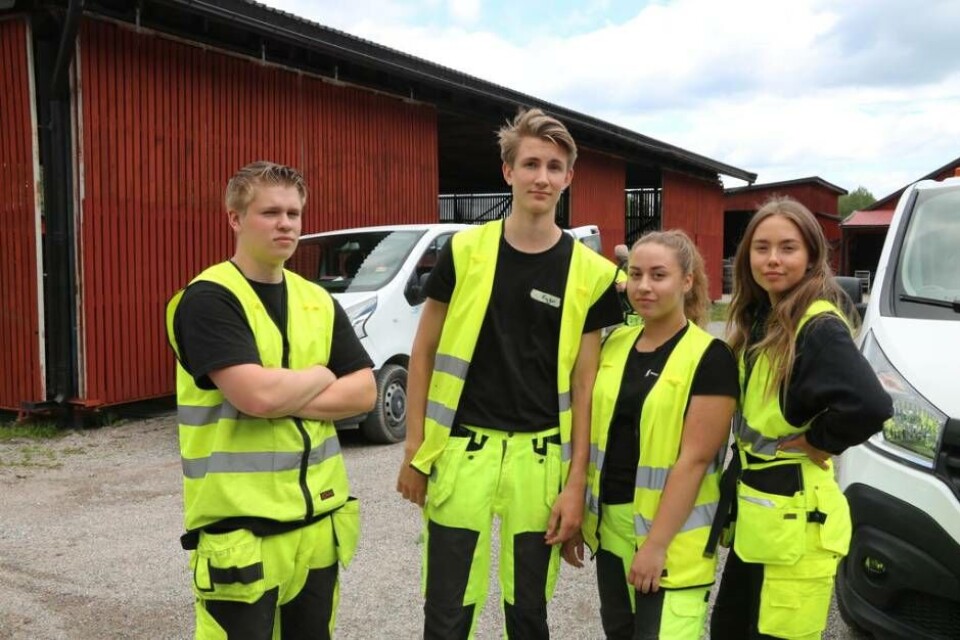 Erik Blom, Hugo Frisk, Emmy Söderberg och Kajsa Sjöblom sommarjobbar med bland annat vägstädning. Foto: Helena Andersson