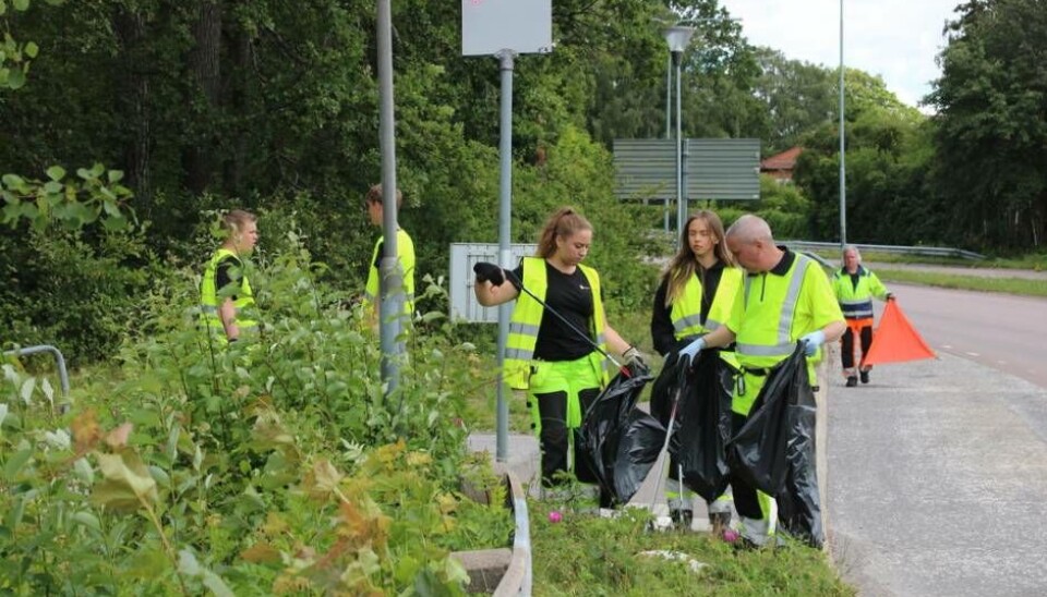 Sommarjobbarna får instruktioner av Magnus Åsman. Foto: Helena Andersson