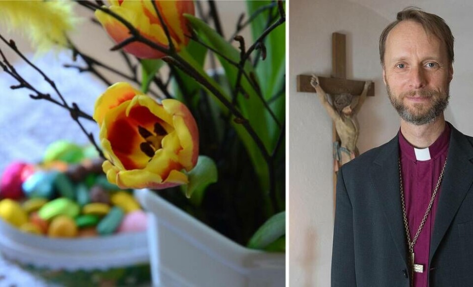 Biskop Mikael Mogren skriver om påskens betydelse. ”När våren kommer till Västmanland känns det att det är påsktid”. Foto: Mostphotos/Svenska kyrkan