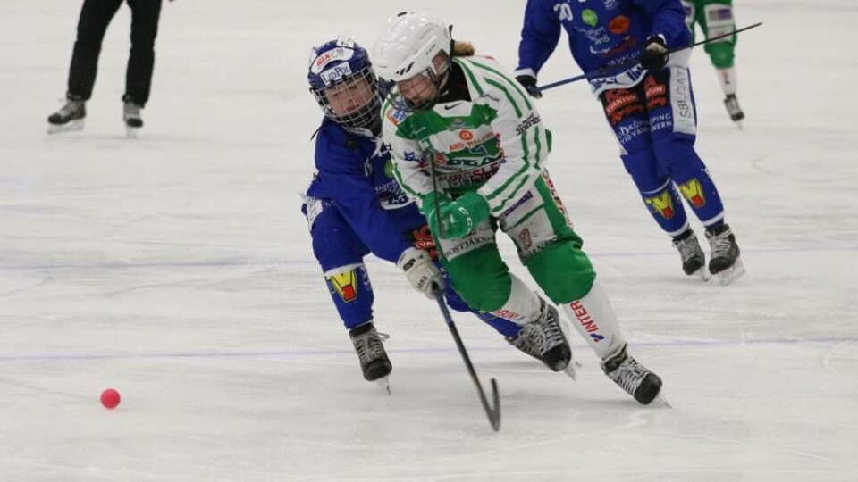 Blåklädda Lidköpingslaget har avgått som segrare under samtliga tre möten i år mot grönvitt och imponerat i Elitserien där man inte tappat en enda poäng. Lagen kan komma att mötas i en SM-final på Studenternas i slutet av mars. Foto: Jako Keric