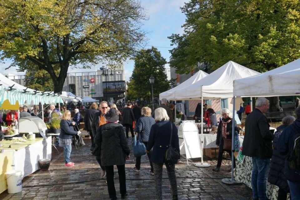 Säsongens sista Bondens egen marknad var välbesökt. ×1 / 6Visa bildtextBild 1 av 6