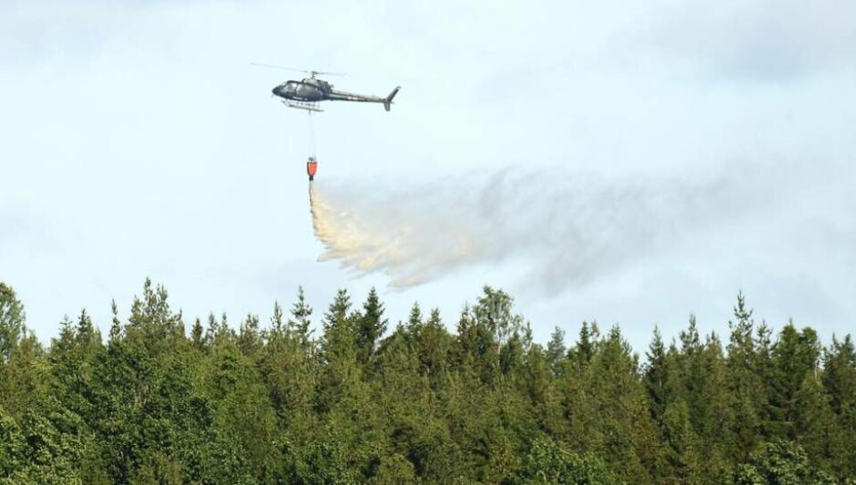 Foto: STEFAN LINDGREN